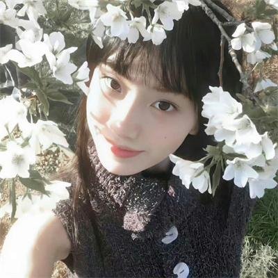 衣柜里的猫